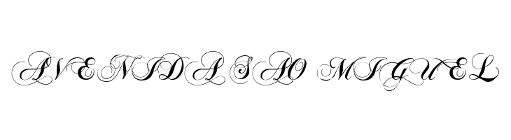 Chopin Script  Free Fonts Download