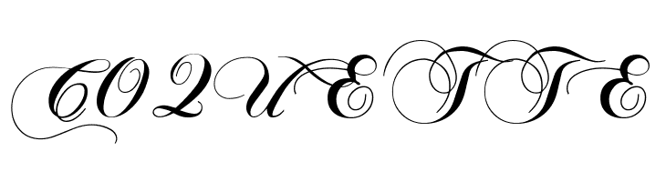 Chopin Script  Free Fonts Download