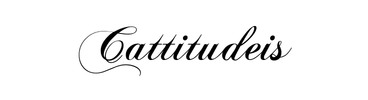 Chopin Script  Free Fonts Download