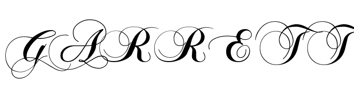 Chopin Script  Free Fonts Download
