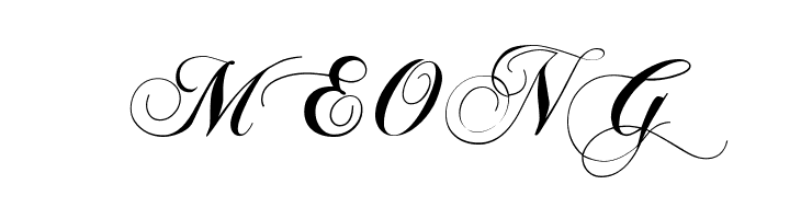 Chopin Script  Free Fonts Download