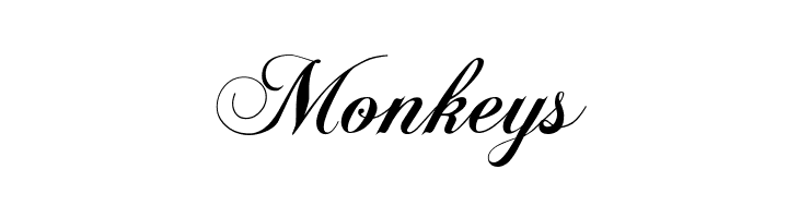 Chopin Script  Free Fonts Download