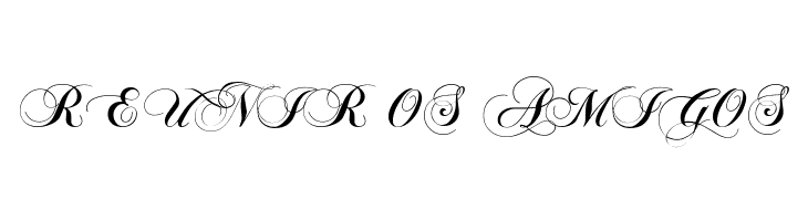 Chopin Script  Free Fonts Download