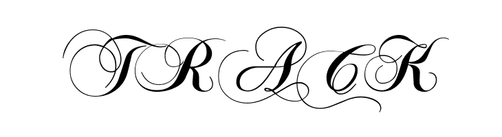 Chopin Script  Free Fonts Download