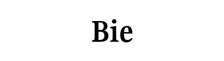 Gupter Bold  Free Fonts Download