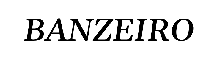 Gelasio Medium Italic  Free Fonts Download