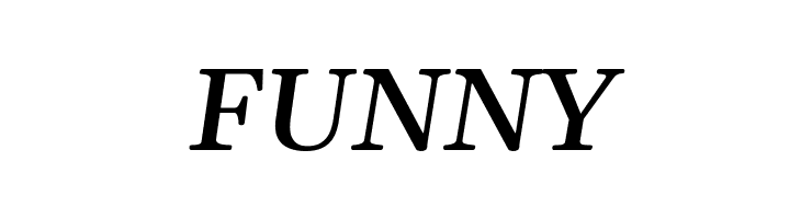 Gelasio Medium Italic  Free Fonts Download