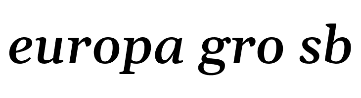 Gelasio Medium Italic  Free Fonts Download