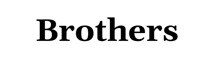 Gelasio Bold  Free Fonts Download