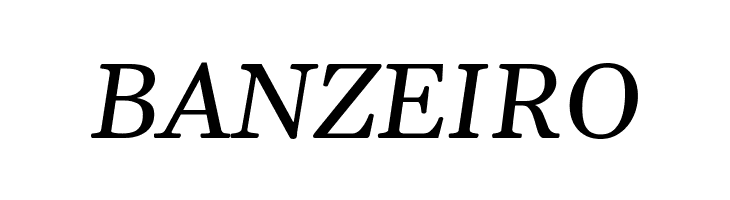 Gelasio Italic  Free Fonts Download