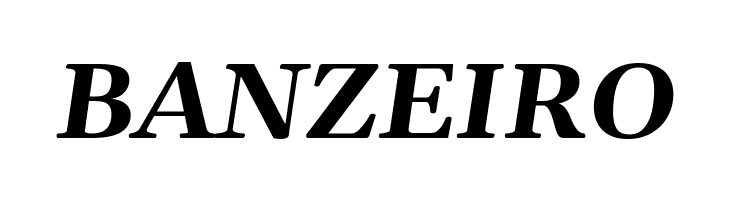 Gelasio Bold Italic  Free Fonts Download