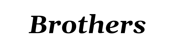 Gelasio Bold Italic  Free Fonts Download