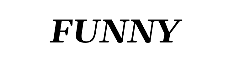 Gelasio Bold Italic  Free Fonts Download