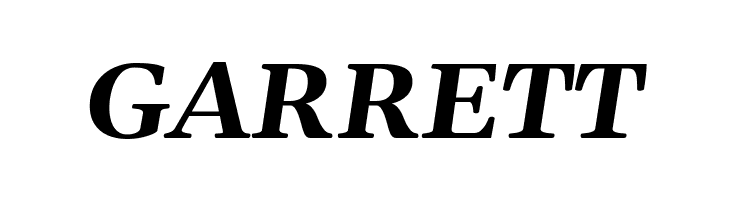 Gelasio Bold Italic  Free Fonts Download