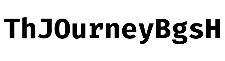 Fira Code Bold  Free Fonts Download