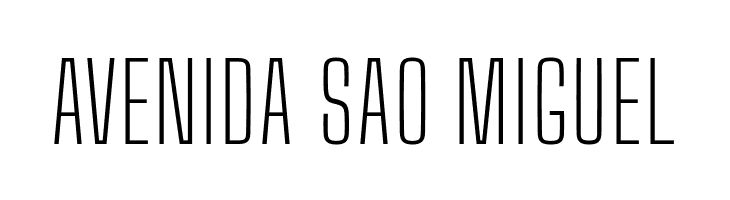 Big Shoulders Text Thin  Free Fonts Download