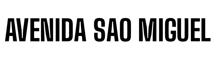 Big Shoulders Display ExtraBold  Free Fonts Download