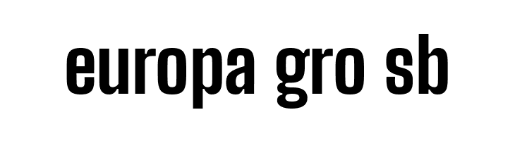 Big Shoulders Display ExtraBold  Free Fonts Download