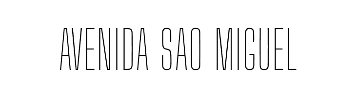 Big Shoulders Display Thin  Free Fonts Download