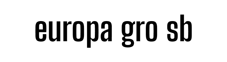 Big Shoulders Display Bold  Free Fonts Download