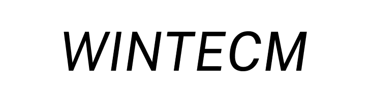 Public Sans Italic  Free Fonts Download