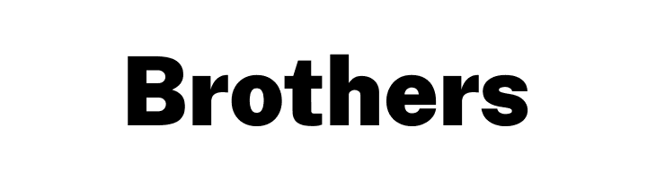 Public Sans Black  Free Fonts Download