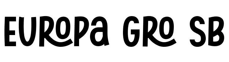 Swingsnug Bold  Free Fonts Download