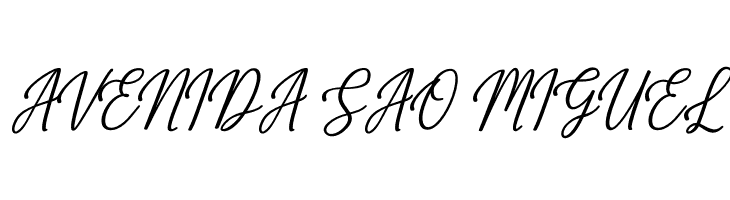 Gabryna  Free Fonts Download