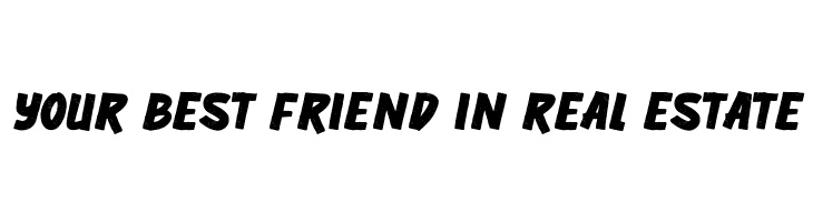 FreelancerRegular  Free Fonts Download