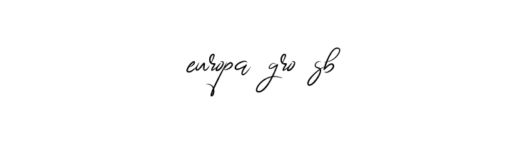 BrightnesSignature  Free Fonts Download