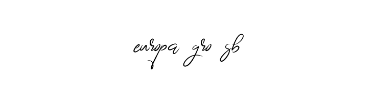 BrightnesSignature  Free Fonts Download