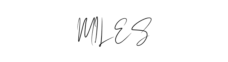 BlackSingature  Free Fonts Download