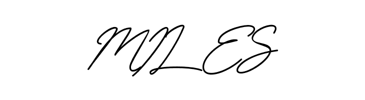 BlueSign  Free Fonts Download