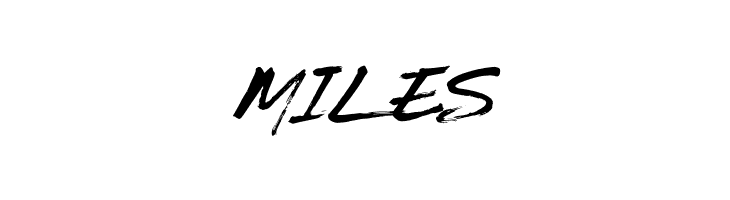 BRICKNESS  Free Fonts Download