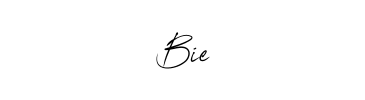 OneSignature  Free Fonts Download