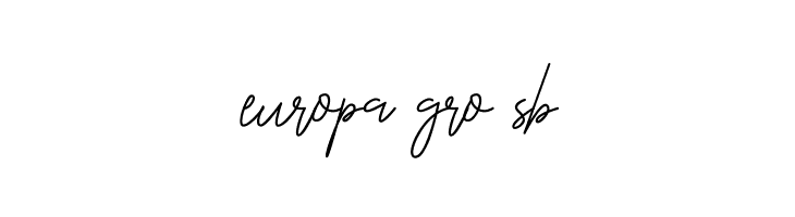 OnesilverSignature  Free Fonts Download
