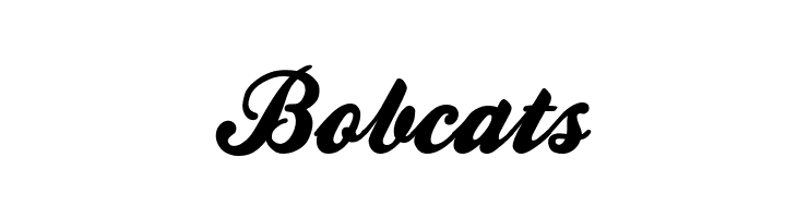 Bobcats Ballpark Weiner Font