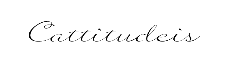 Quilline Script Thin  Free Fonts Download