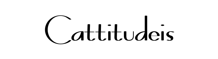 BernardoModaContrast  Free Fonts Download