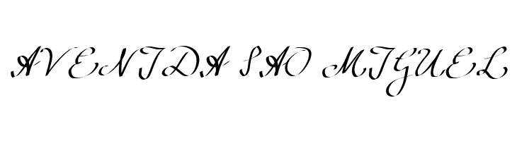 Wolgast Script  Free Fonts Download