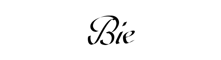Wolgast Script  Free Fonts Download
