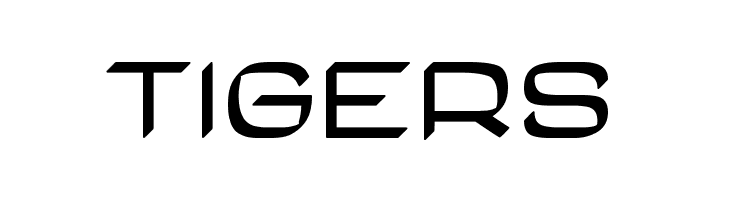 Casa Sans Fettig Bold  Free Fonts Download