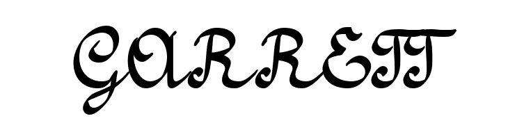 Amptmann Script  Free Fonts Download