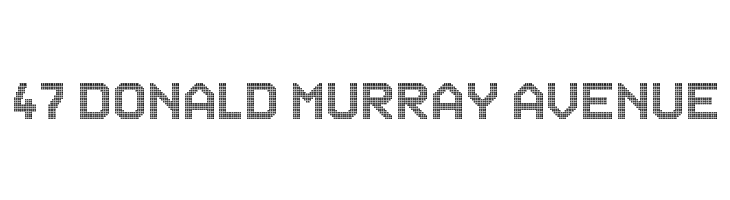 CAT-Arena  Free Fonts Download