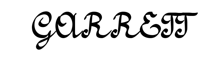 Amptmann Script Regular  Free Fonts Download