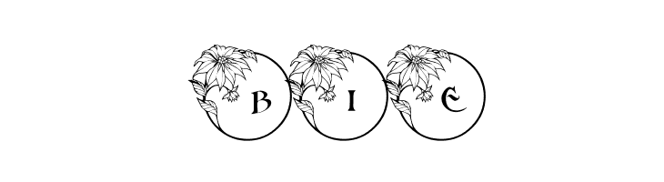 pf_xmas_flower1  Free Fonts Download