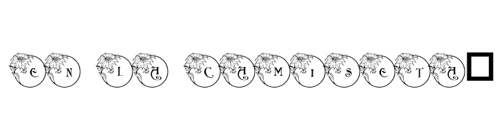 pf_xmas_flower1  Free Fonts Download