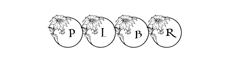 pf_xmas_flower1  Free Fonts Download