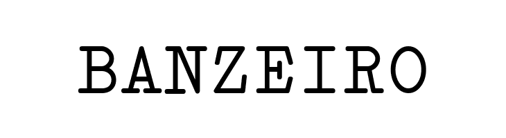 Erica Type Regular  Free Fonts Download