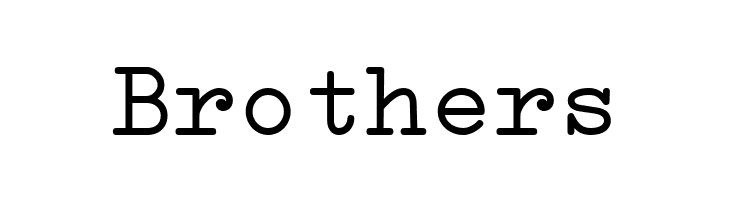 Erica Type Regular  Free Fonts Download